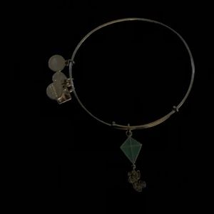 Alex and Ani Inspiration In Flight Bangle braclet